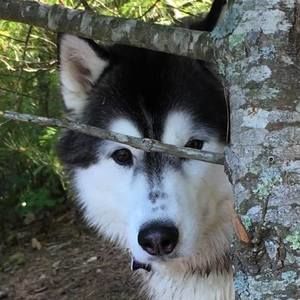 Meet your Posher, Cindi